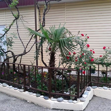 Orhidea Guest House 加格拉 外观 照片