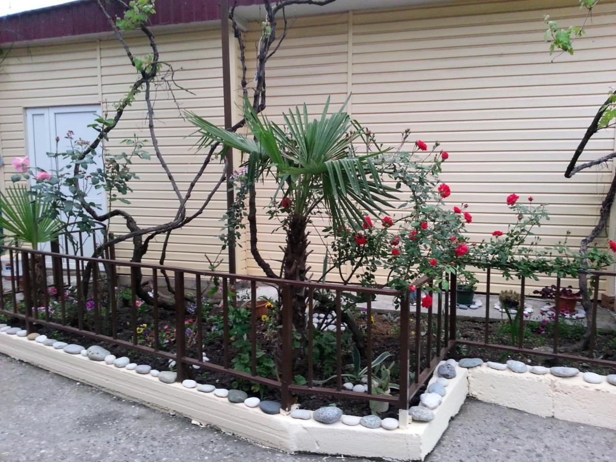 Orhidea Guest House 加格拉 外观 照片