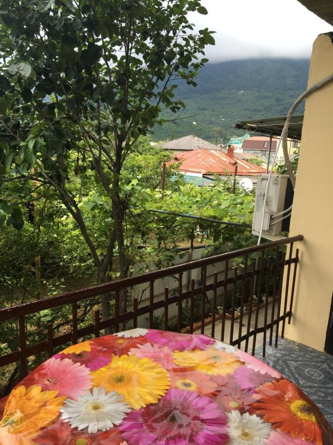 Orhidea Guest House 加格拉 外观 照片